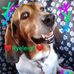 Darla Byrd - Facebook