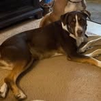 Darla Cameron - Facebook