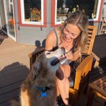 Darla Carpenter - @sensational_shih_tzus - Instagram