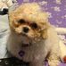 Darla Carpenter Menzel - Facebook