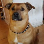 Darla Shotwell Carpenter - @darlashotwellcarpenter - Instagram