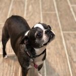 Darla.Carpenter - @darla.carpenter7 - Instagram