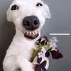 3 - @darla.casey3 - TikTok