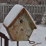 Darla Chambers - @brlteach - Instagram
