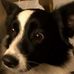 Darla Chenault - Facebook