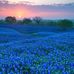 Darla Dean Klatt - Facebook