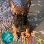 Darla Clouse - Facebook
