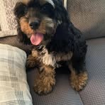 Darla Clouse - Facebook
