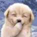 Darla J Connor - Facebook