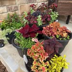 Darla Kay Creech - @darla.kay.creech - Instagram
