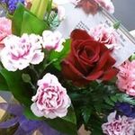 Darla Meyer Cross - @dscwork1 - Instagram