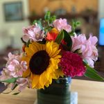 Darla Propst-Crossin - @darla_crossin - Instagram