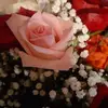 darlameyercross - @darlameyercross - TikTok