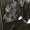 Darla Crowe Burleson - @darlacroweburleso - TikTok