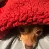 Darla Current - @darla.current - TikTok