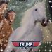 Darla Custer - Facebook