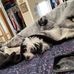Darla Dart - Facebook