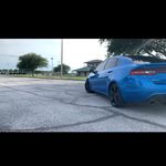 Darla The Dart - @darla_the_dart - Instagram