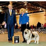 Darla Kays-Daugherty - @darlakaysdaugherty - Instagram