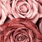 Darla Defibaugh - Facebook