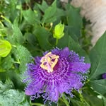 Darla Delay - @darldel - Instagram