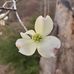 Darla Denton Sprouse - Facebook
