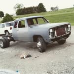 @darla_thedodge - Instagram