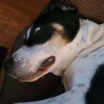 Darla Lee Donovan - @darla.donovan.5 - Instagram