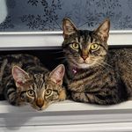 Momma Darla Baby Earl - @darla.and.earl - Instagram