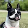darlaedgar311 - @darlaedgar311 - TikTok