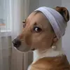 darla_noely - @darla_noely - TikTok