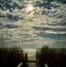 Darla Estep - Facebook