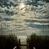 Darla Estep - @darla.estep - TikTok
