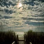 Darla Estep - @darlaestep - Instagram
