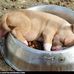 Darla Estes - Facebook