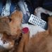 Darla Estes - Facebook