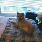Darla Evans - @thedge8 - Instagram