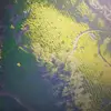 darlafleming1994 - @darlafleming1994 - TikTok