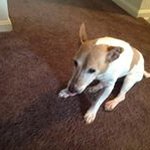Darla Foster - @darlad.foster - Instagram