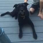 Darla The Foster Sister - @darlafosters - Instagram