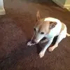 darlafoster385 - @darlafoster385 - TikTok