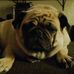 Darla Gallagher - Facebook