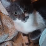 Darla Garner - Facebook
