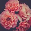 Darla Garrison145 - @hehehehe_robloxxxx - TikTok
