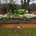 Darla Gilbert - @dargilb1016 - Instagram