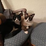 Darla Gilbert Simpson - @flutterby77777 - Instagram
