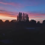 Darla - @darlagoodes7 - Instagram