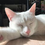 darla grace - @idwylab - Instagram