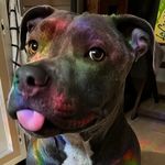 Darla Grace - @darlin_darla1223 - Instagram