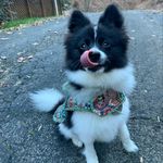 Darla Grace - @darlagrace2021 - Instagram